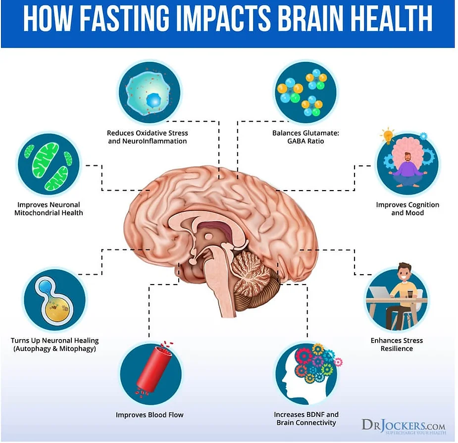 Intermittent-Fasting The Brain Fog Fix: Causes and Natural Solutions to Sharpen Your Mind