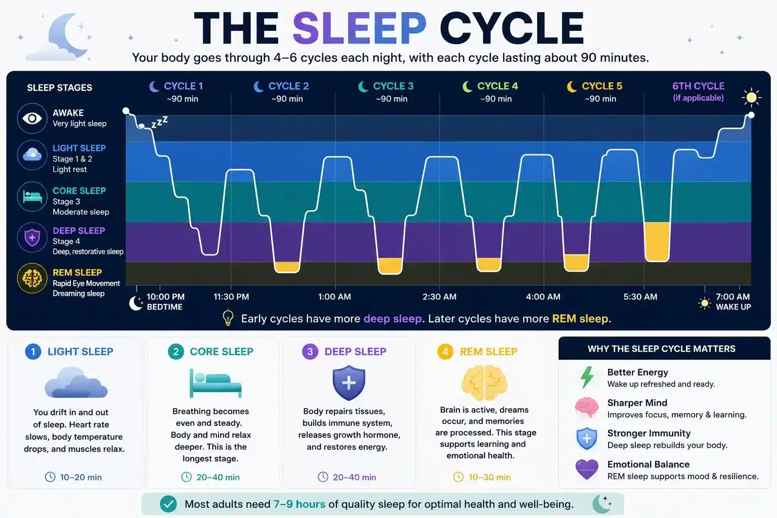 What Is Core Sleep? Deep Sleep, REM Sleep, and Sleep Quality Explained (2026) Sleep cycle stages, including light sleep, core sleep, deep sleep, and REM sleep, throughout the night